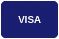 Visa信用卡支付方式图标